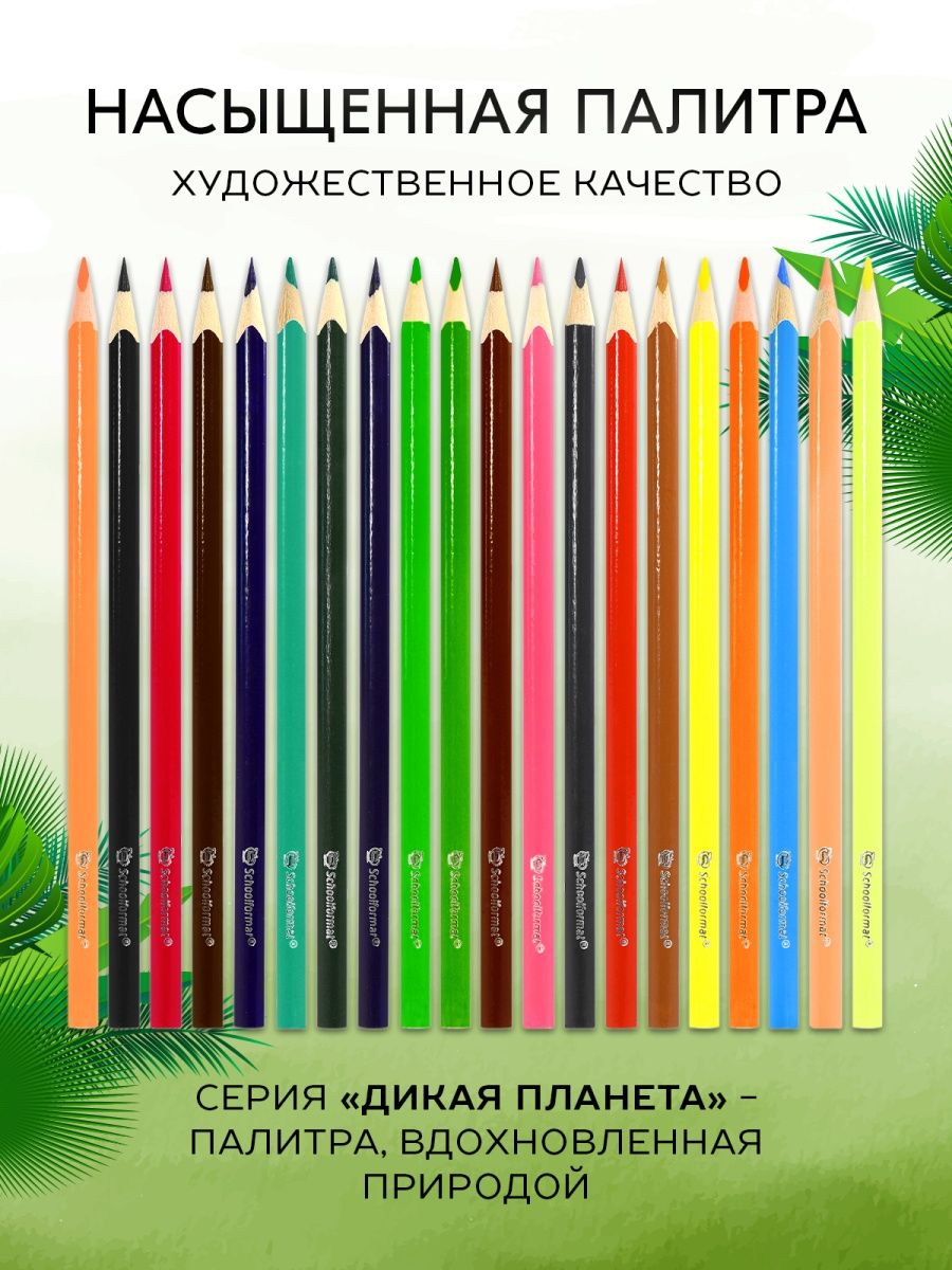 Карандаши цветные SCHOOLFORMAT 20 шт. - фото 2
