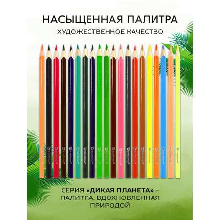 Карандаши цветные SCHOOLFORMAT 20 шт.