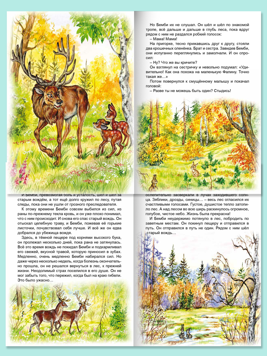 Книга Алтей Бемби - фото 6