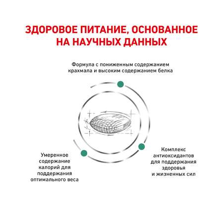 Корм для собак ROYAL CANIN Diabetic DS37 при сахарном диабете 12кг
