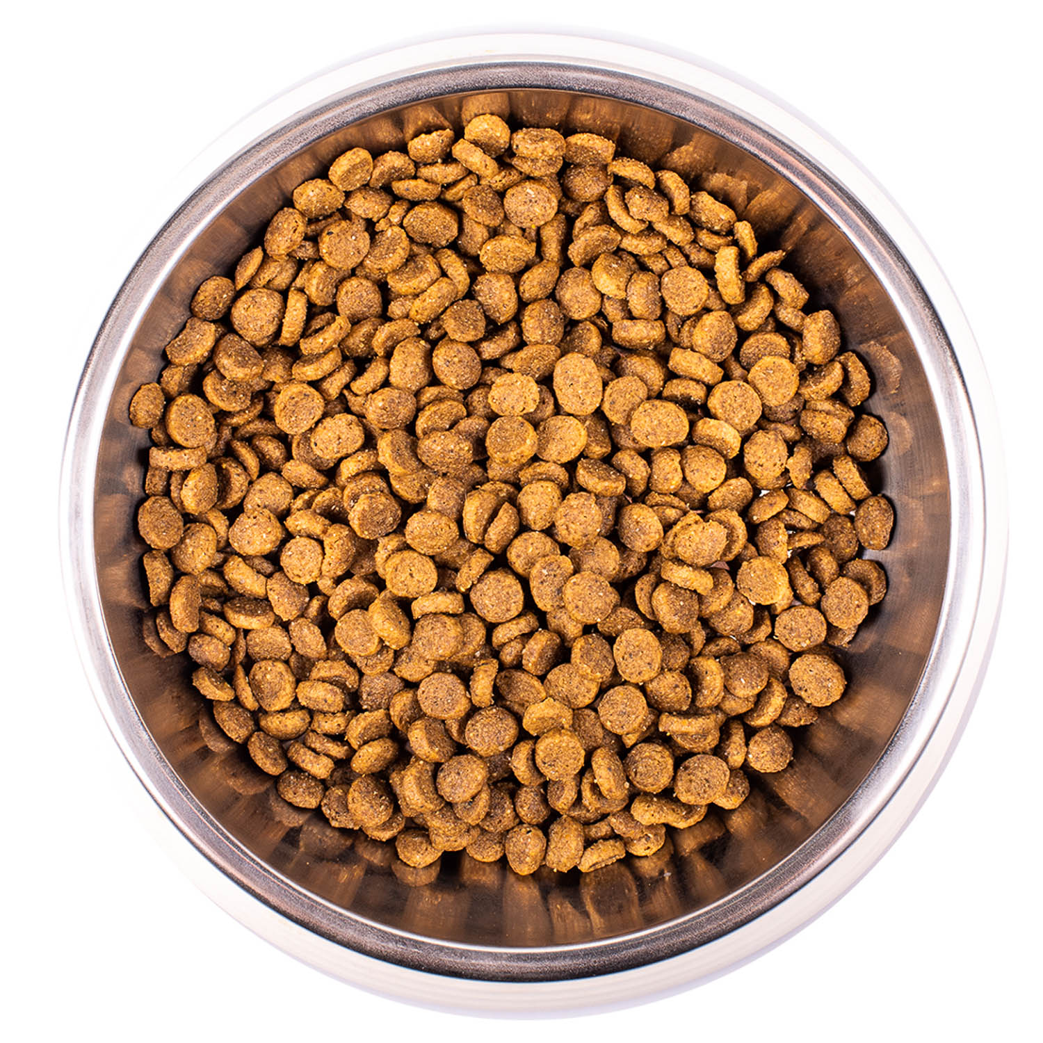 Корм сухой для котят MONGE 1.5кг курица - фото 9