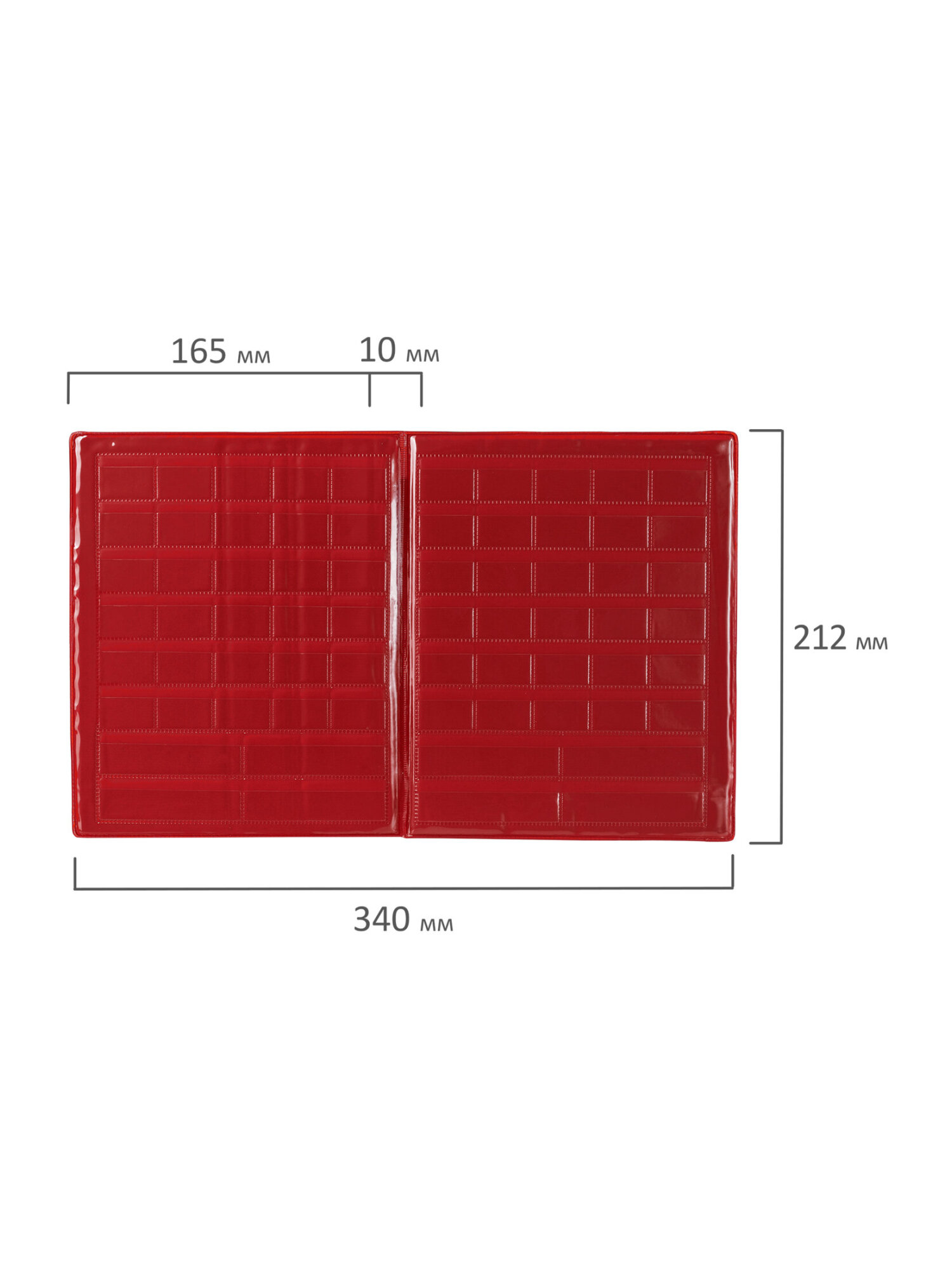 Касса букв и счетов Пифагор Буквы Цифры - фото 13