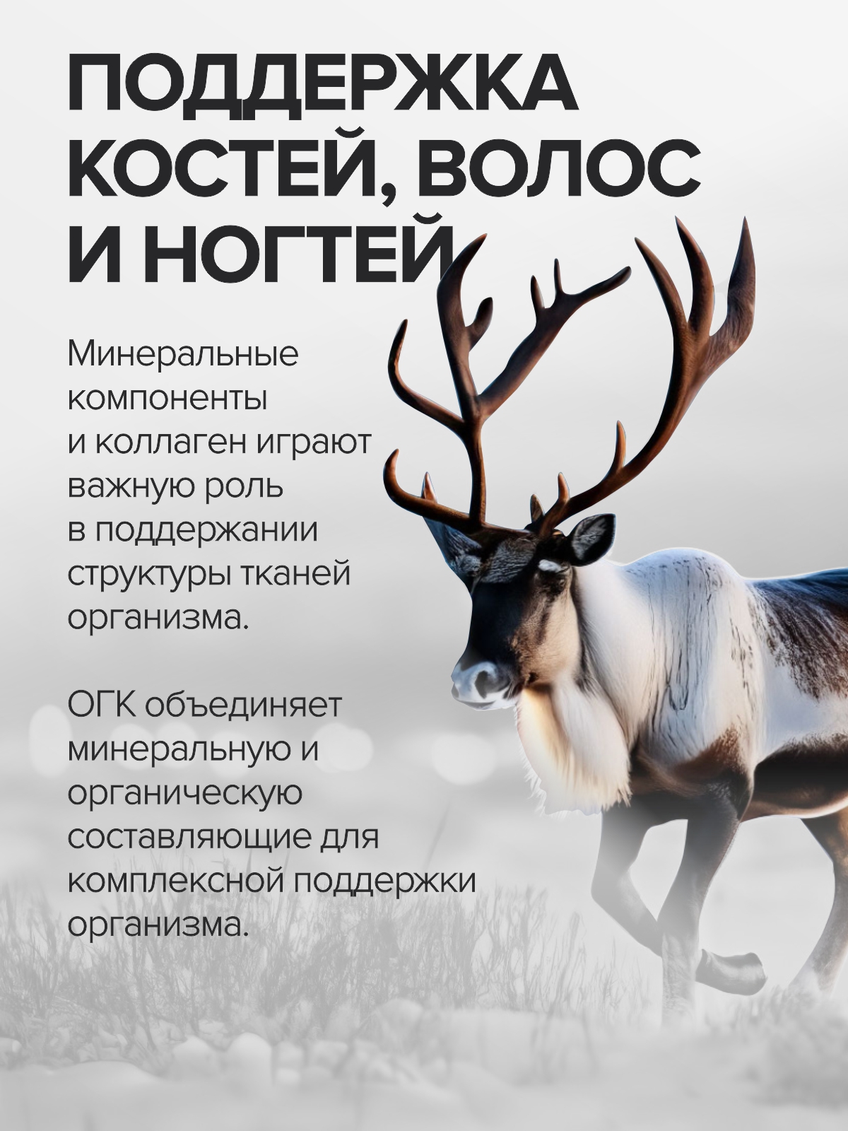 Комплекс витаминов CigaPan Цыгапан мультивитамины для женщин и мужчин 60 капсул - фото 9