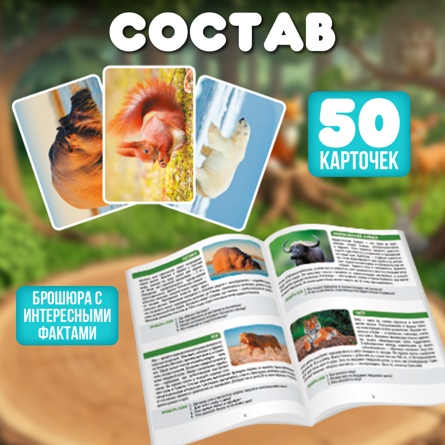 Настольная игра Attivio Мемори В мире животных - фото 2