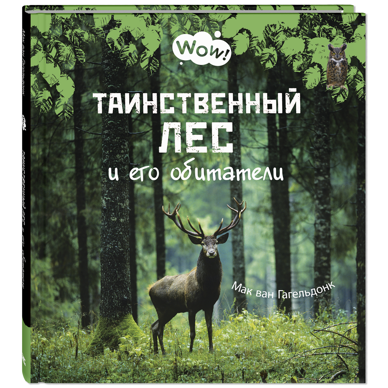 Книга ЭНАС-книга Таинственный лес - фото 1