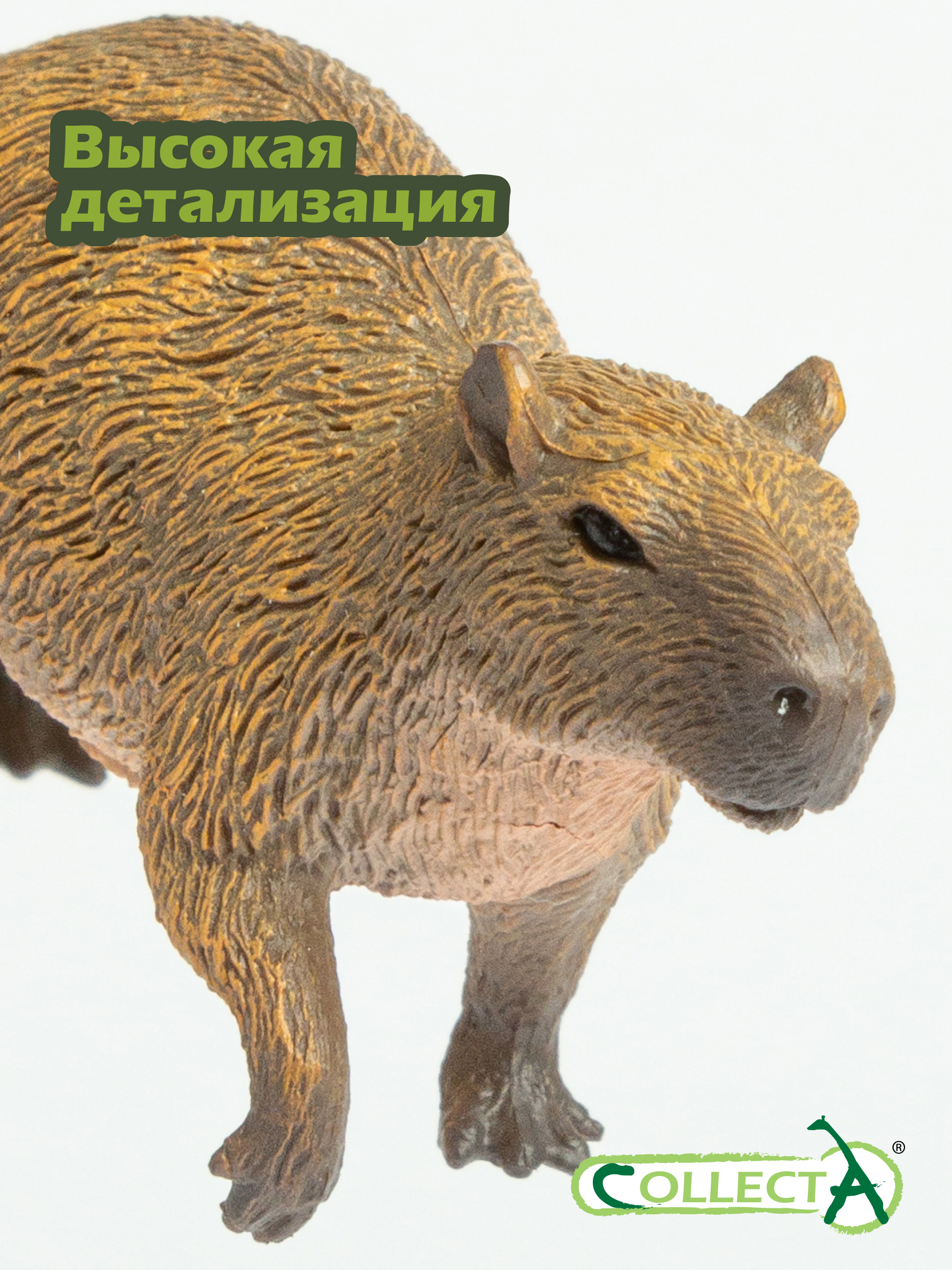 Фигурка Collecta Капибара - фото 3