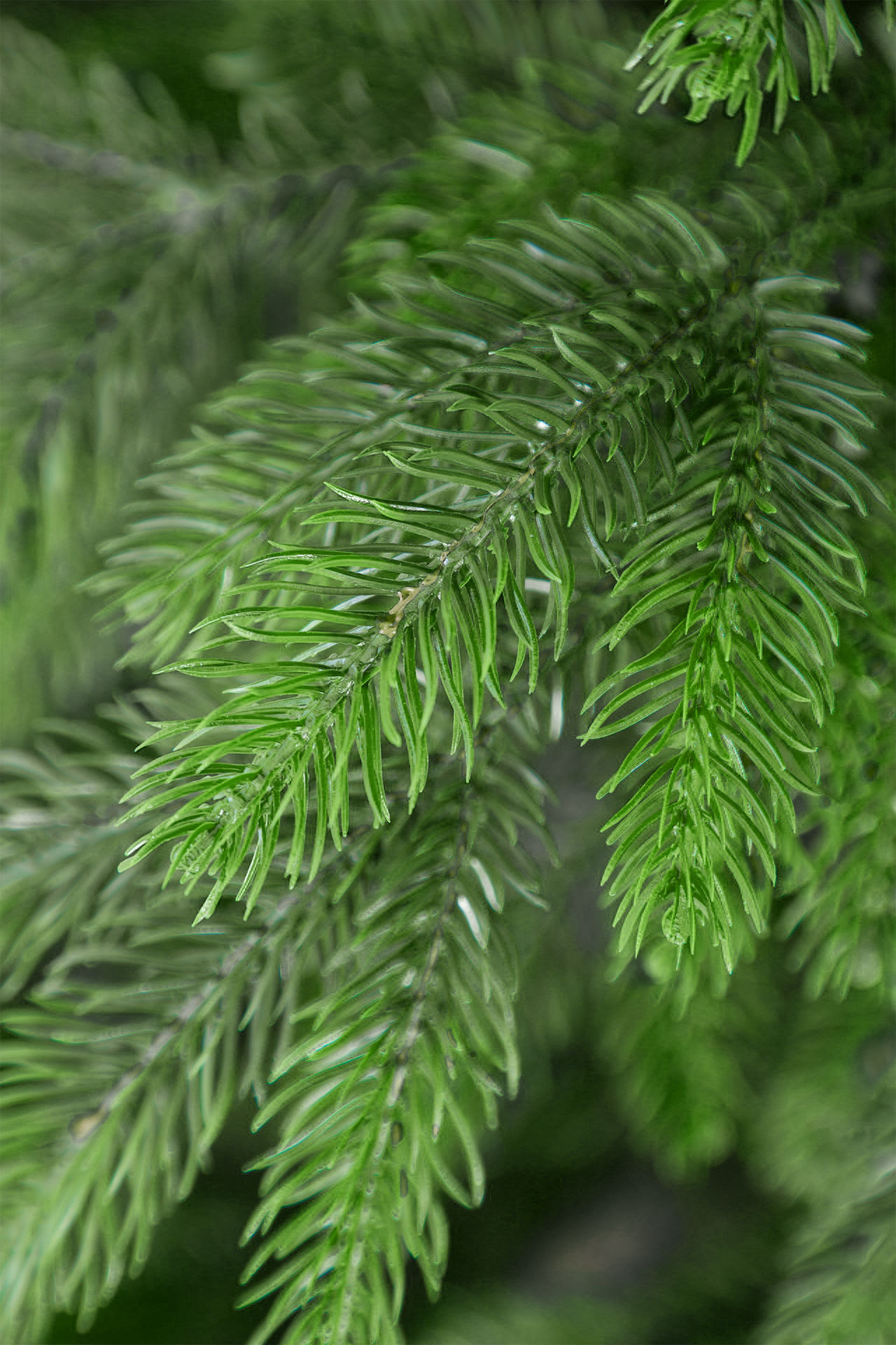 Ель Эльфийская литая Империя Ёлок 130 см - фото 5