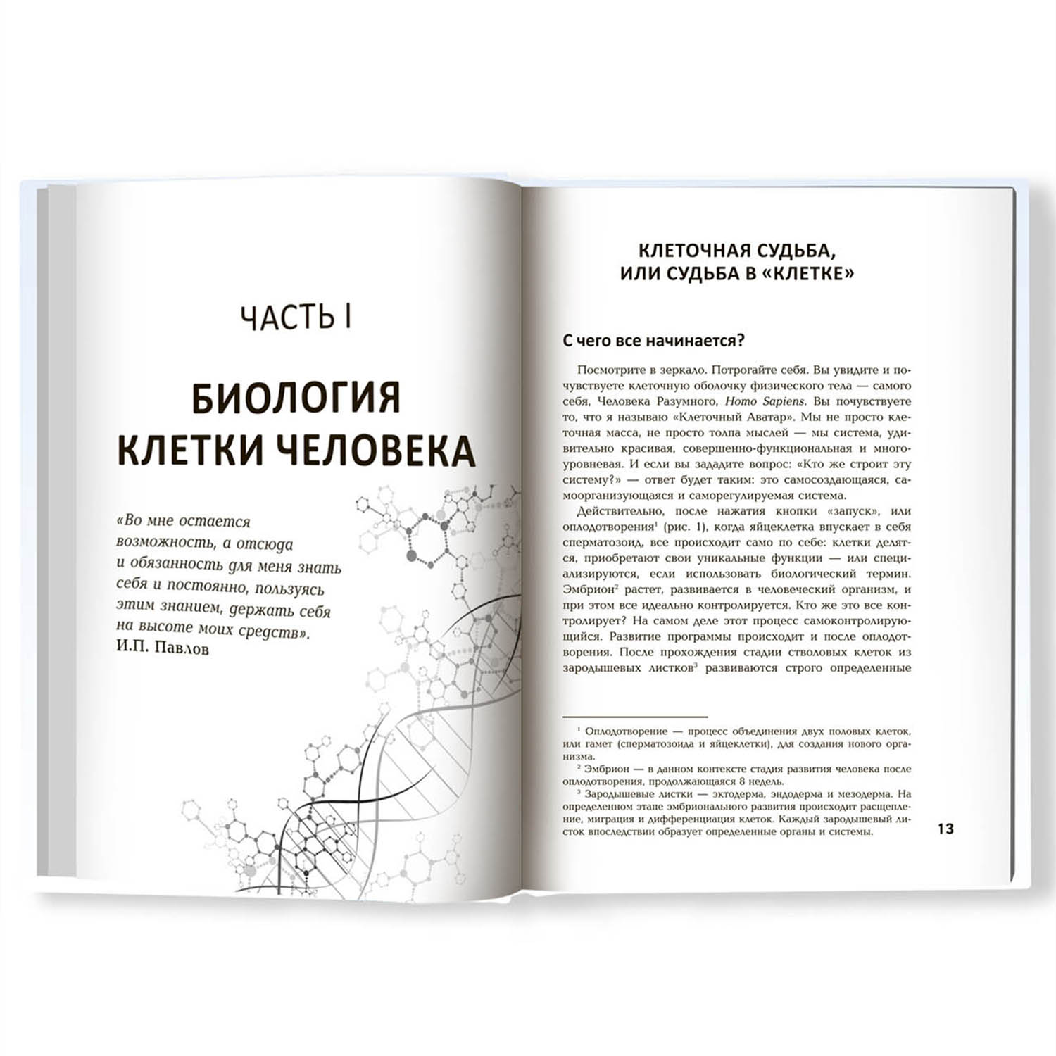 Книга Феникс Клетка живи!: Как строится и почему умирает человеческое тело - фото 2