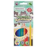 Карандаши цветные Brauberg 12 шт.