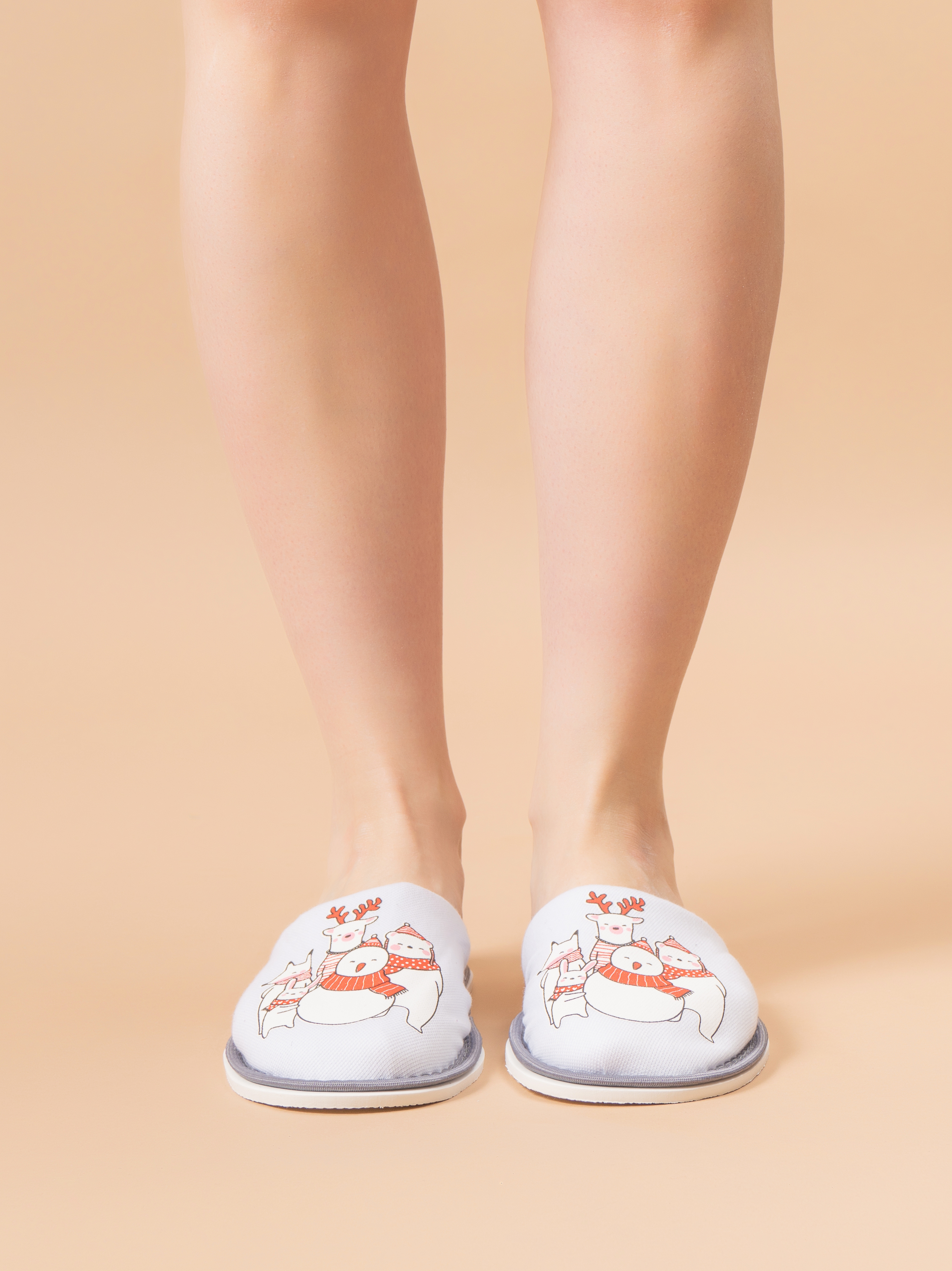 Тапочки IVShoes С-6ДМ(д-пч)-МР/зверье/белый - фото 6