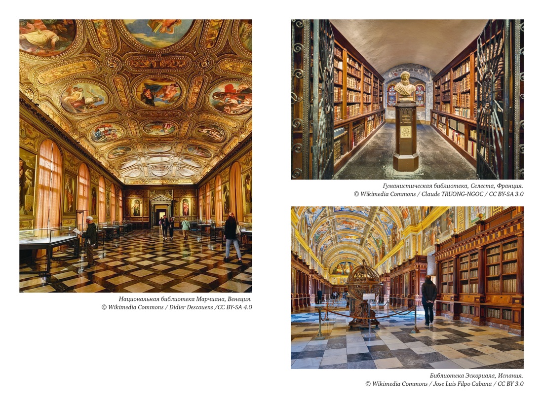 Книга КОЛИБРИ БП Барбье Ф История библиотек Коллекционеры Тексты Здания - фото 10