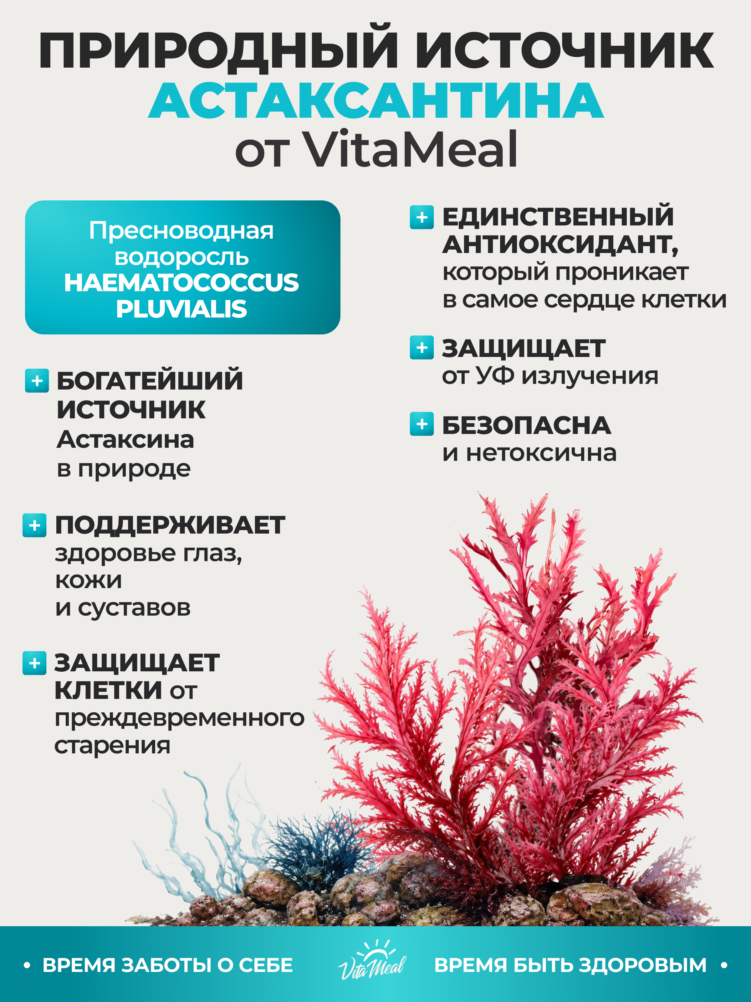 Биологически активная добавка VitaMeal Астаксантин 3 мг антиоксидант для иммунитета и молодости 90 таблеток - фото 2