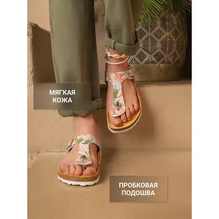Сланцы ORTMANN