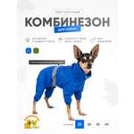 Комбинезон для собак Доброзверики синий