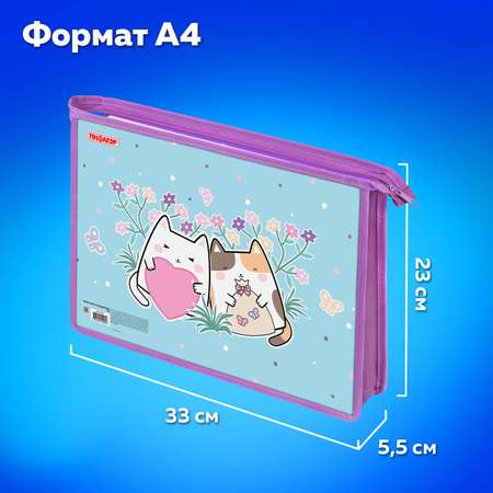 Папка для тетрадей Пифагор А4