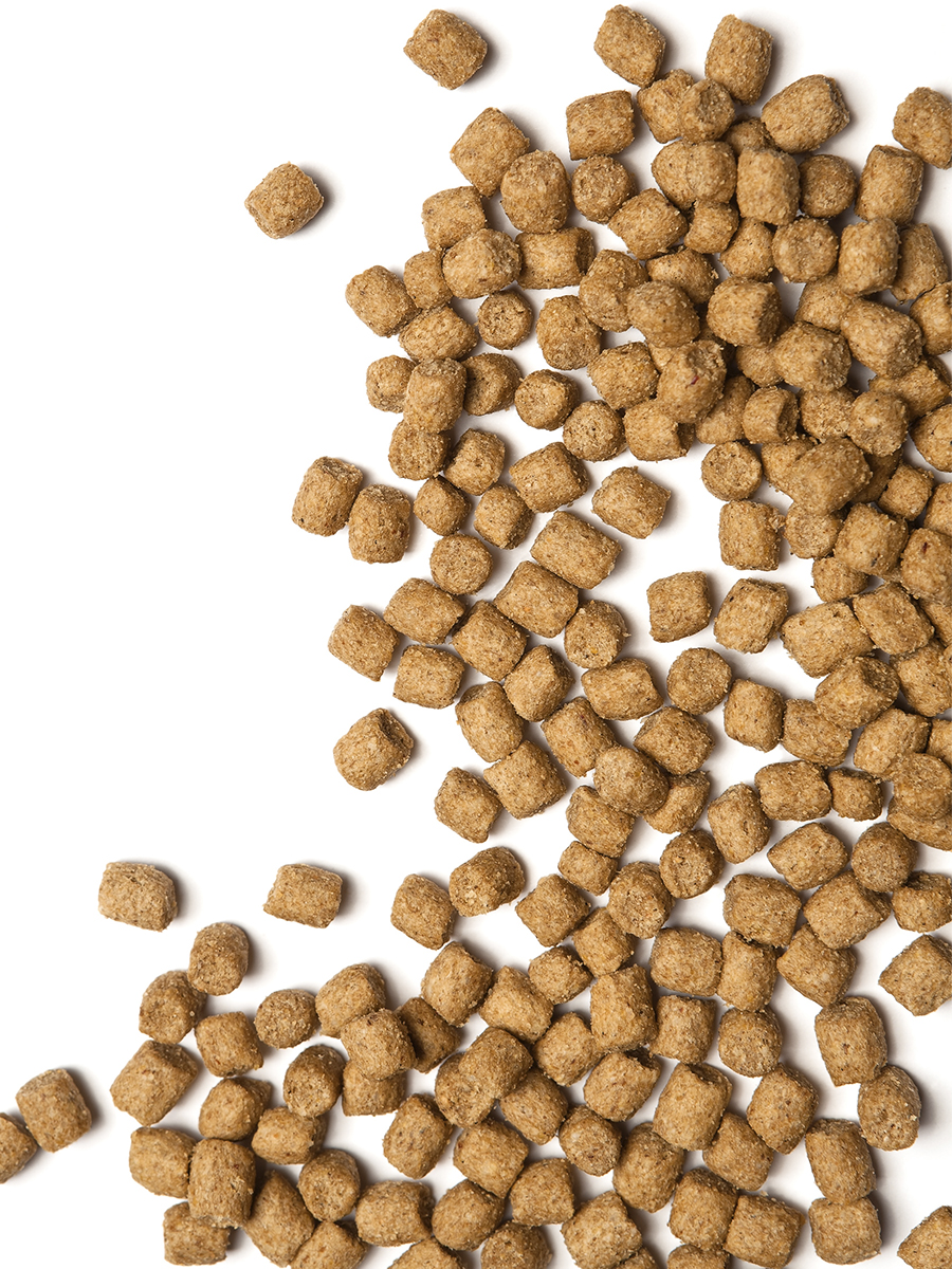 Корм сухой ProBalance Adult Immuno Protection для кошек с курицей и индейкой - фото 6