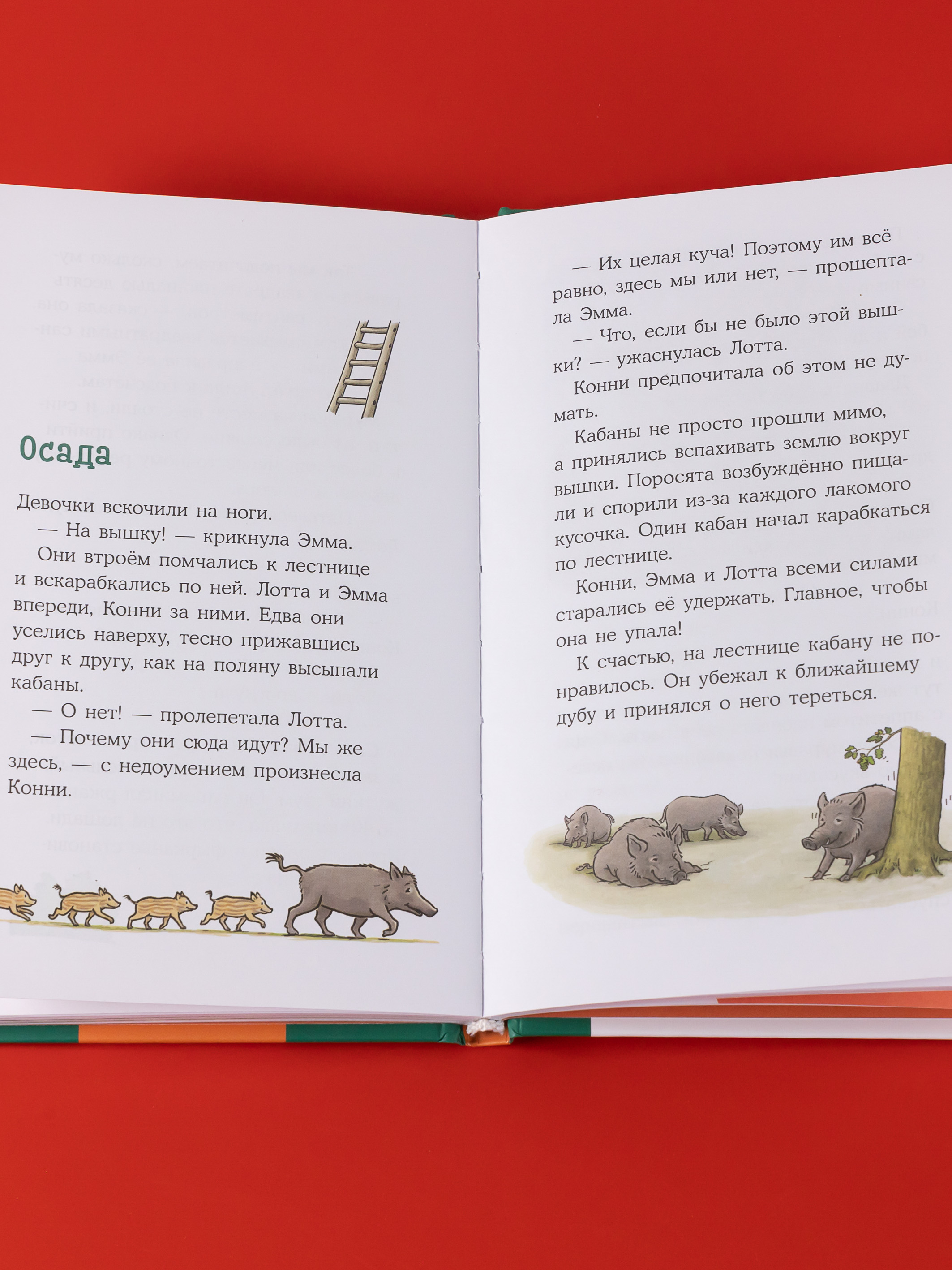 Книга Альпина. Дети Приключения Конни в ночном лесу - фото 5