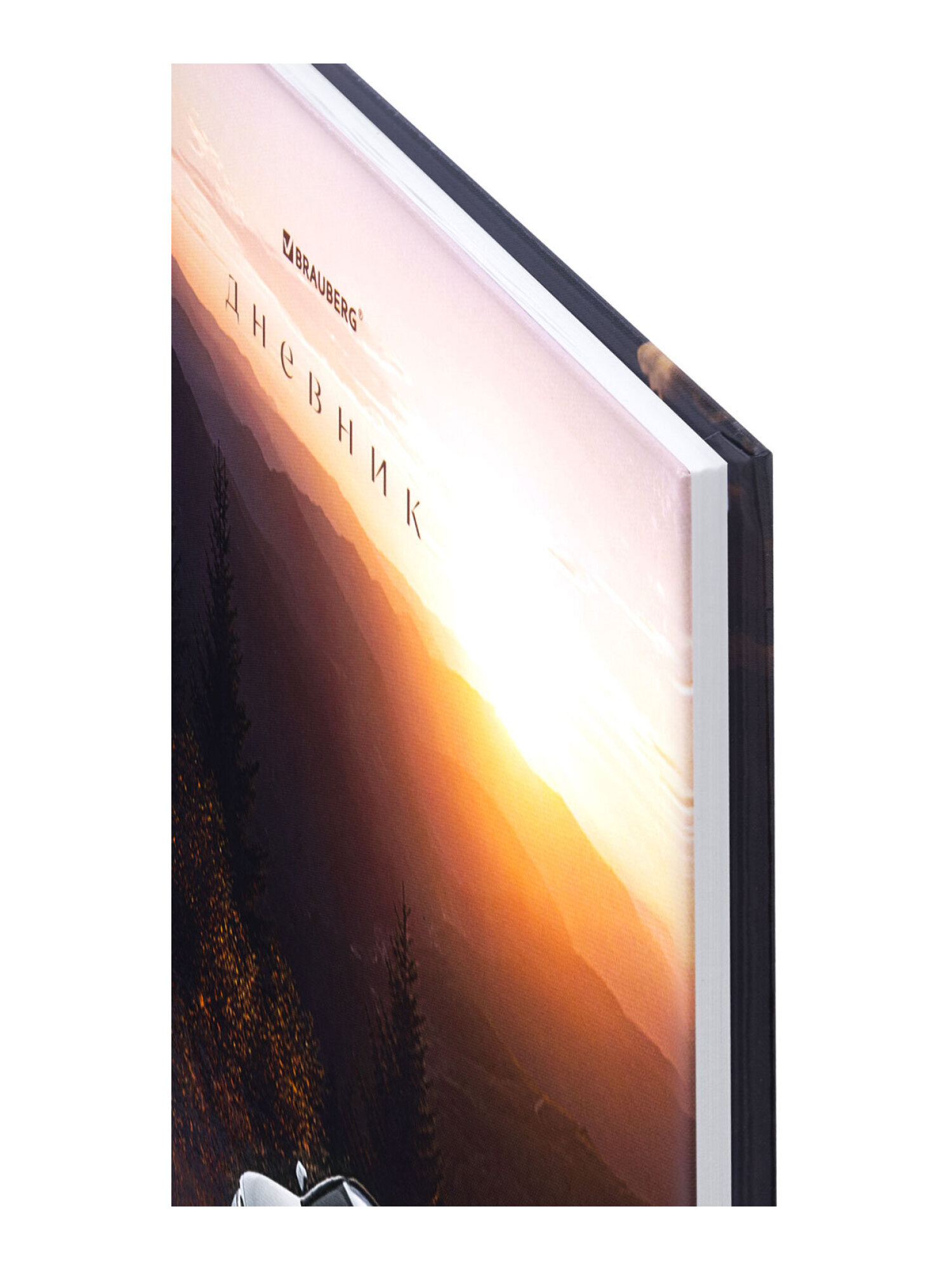 Дневник школьный Brauberg для мальчика 1-11 класс твердая обложка 40 листов - фото 5