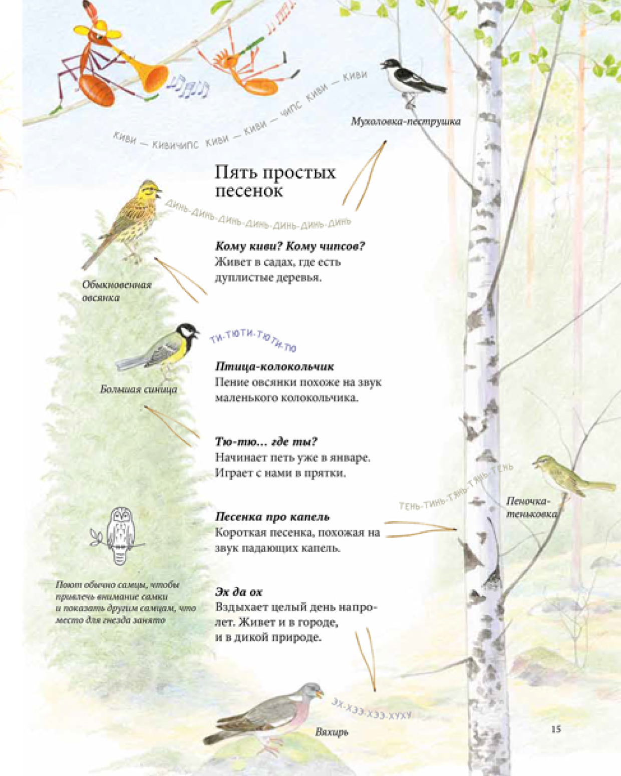 Книга ALBUS CORVUS Экспедиция Софи - фото 5