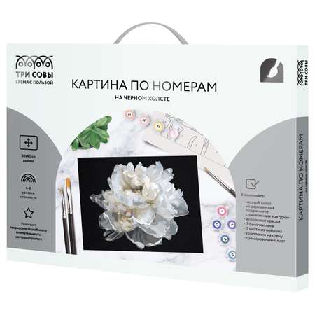 Картина по номерам ТРИ СОВЫ Белый цветок
