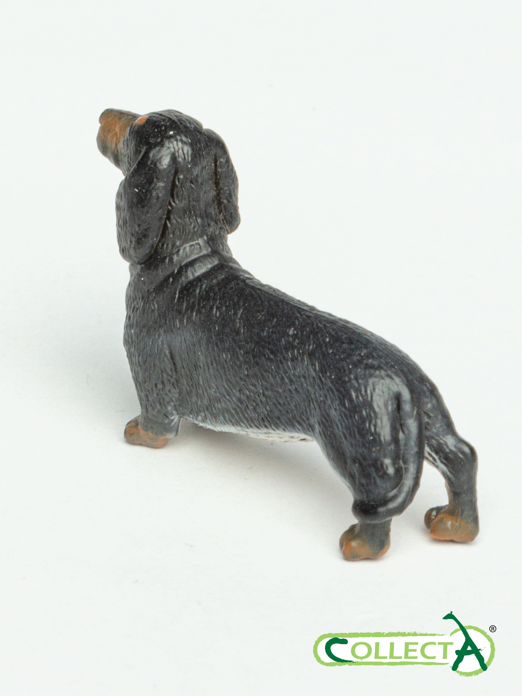 Фигурка Collecta собаки Такса - фото 8