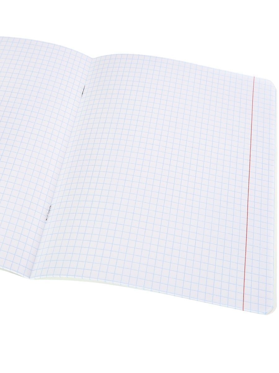Тетрадь Prof-Press клетка 18 лист. 20 шт. - фото 8
