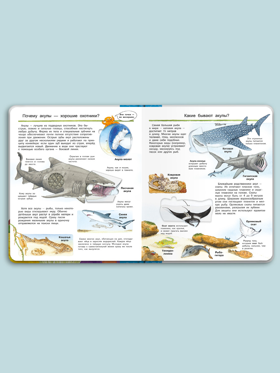 Книга Омега-Пресс Энциклопедия для детей с окошками Мир морских животных - фото 9