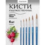 Кисть CENTRUM 6 шт.