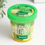 Набор для выращивания Выбражулька