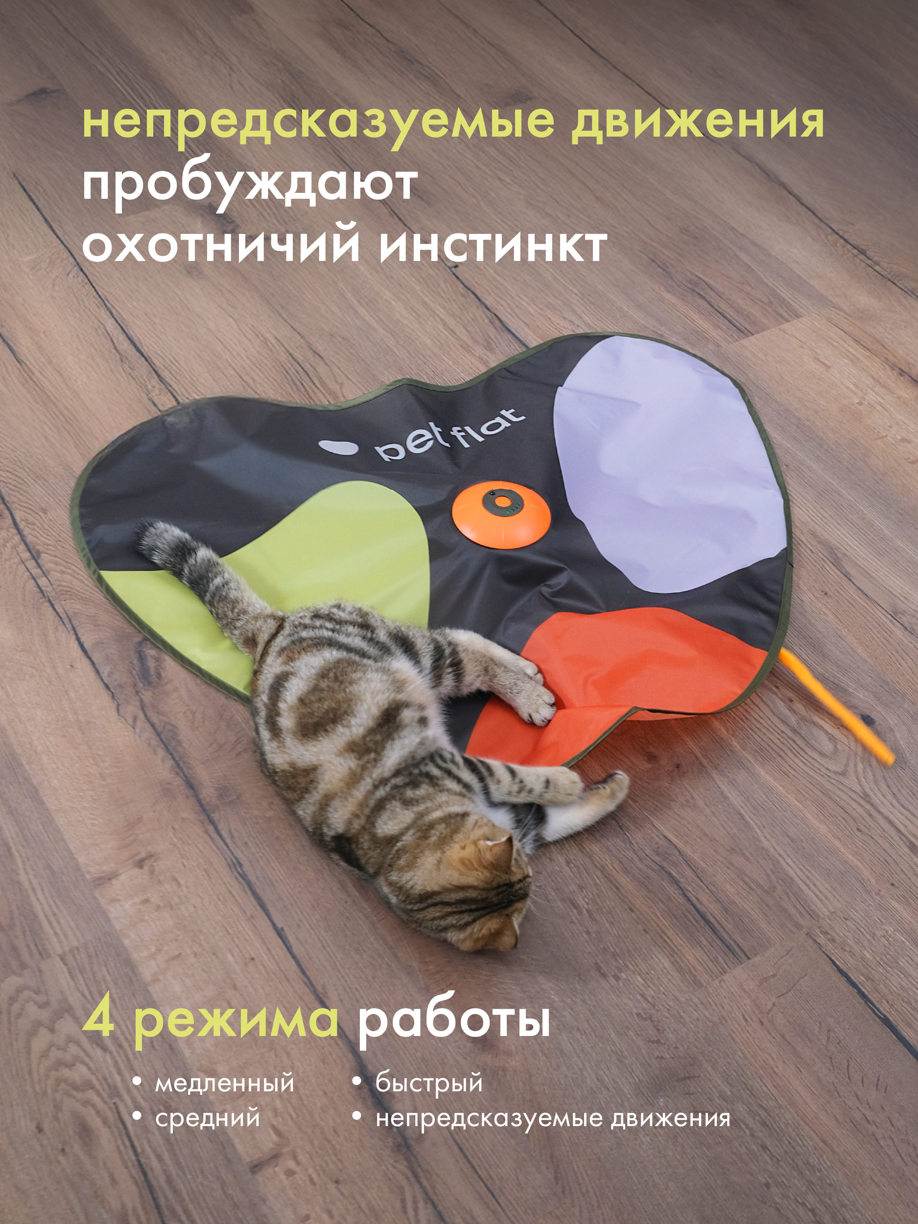 Интерактивная игрушка Pet Flat Дразнилка-прятки - фото 3