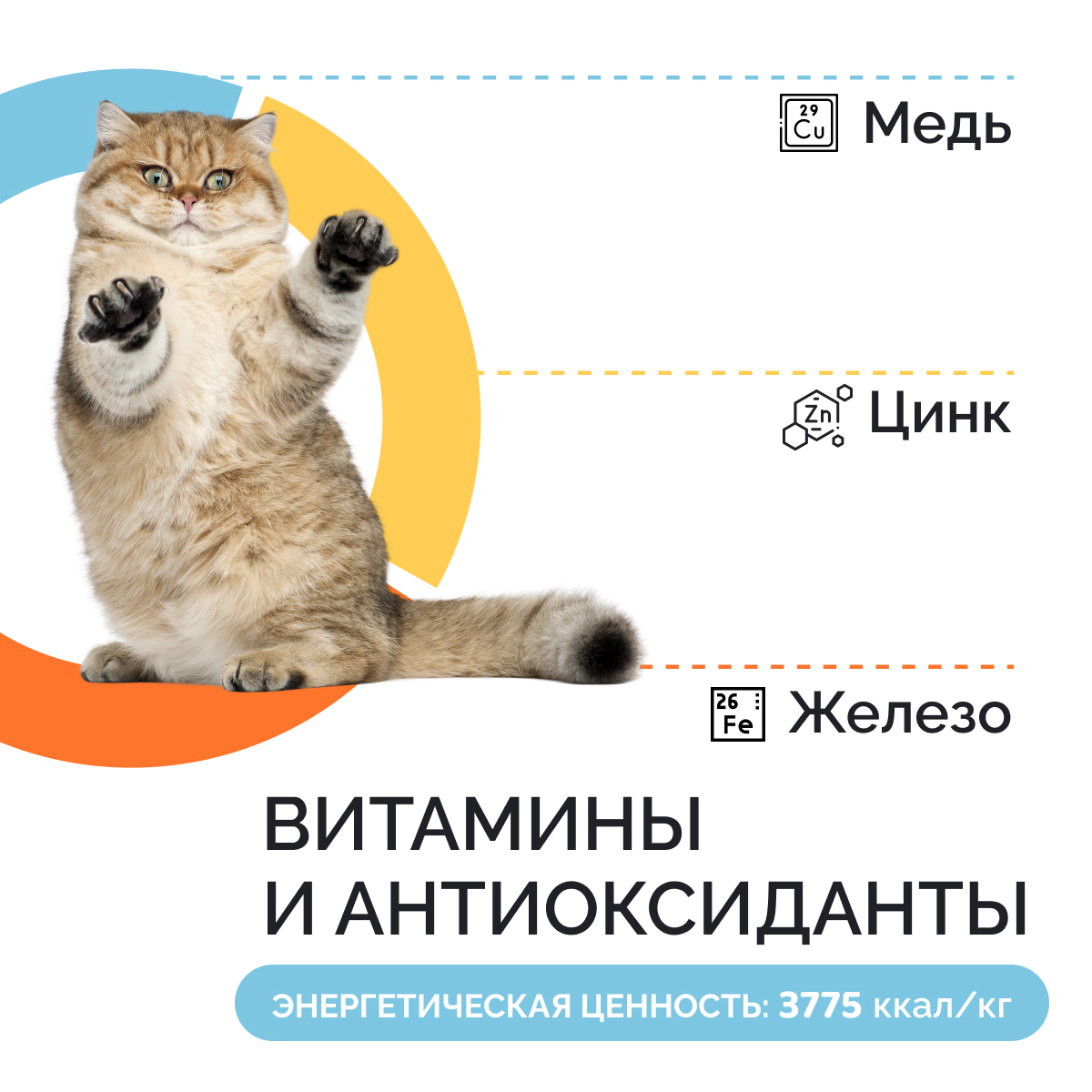 Корм сухой MYSTICAT с курицей и рисом 2 кг - фото 8