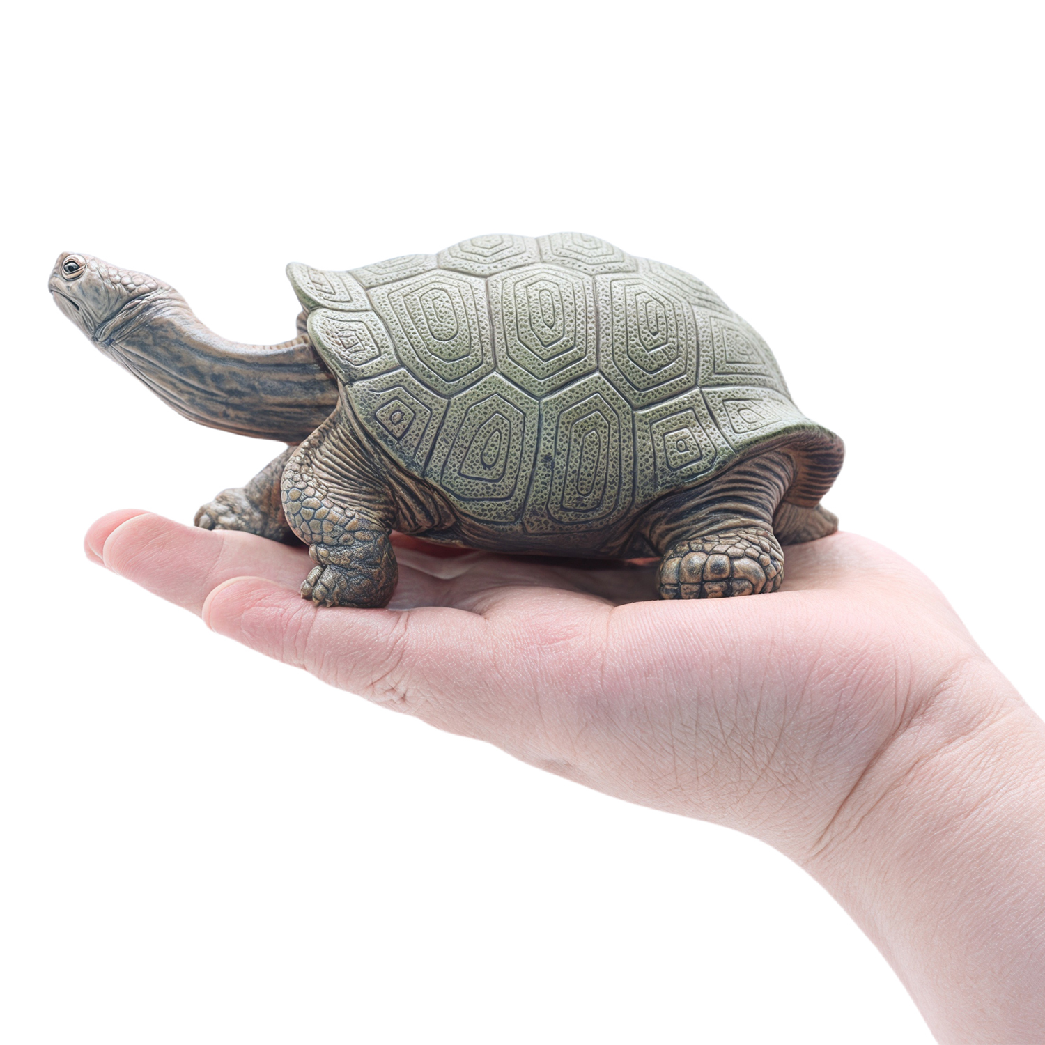 Фигурка Детское Время Галапагосская Черепаха - фото 3