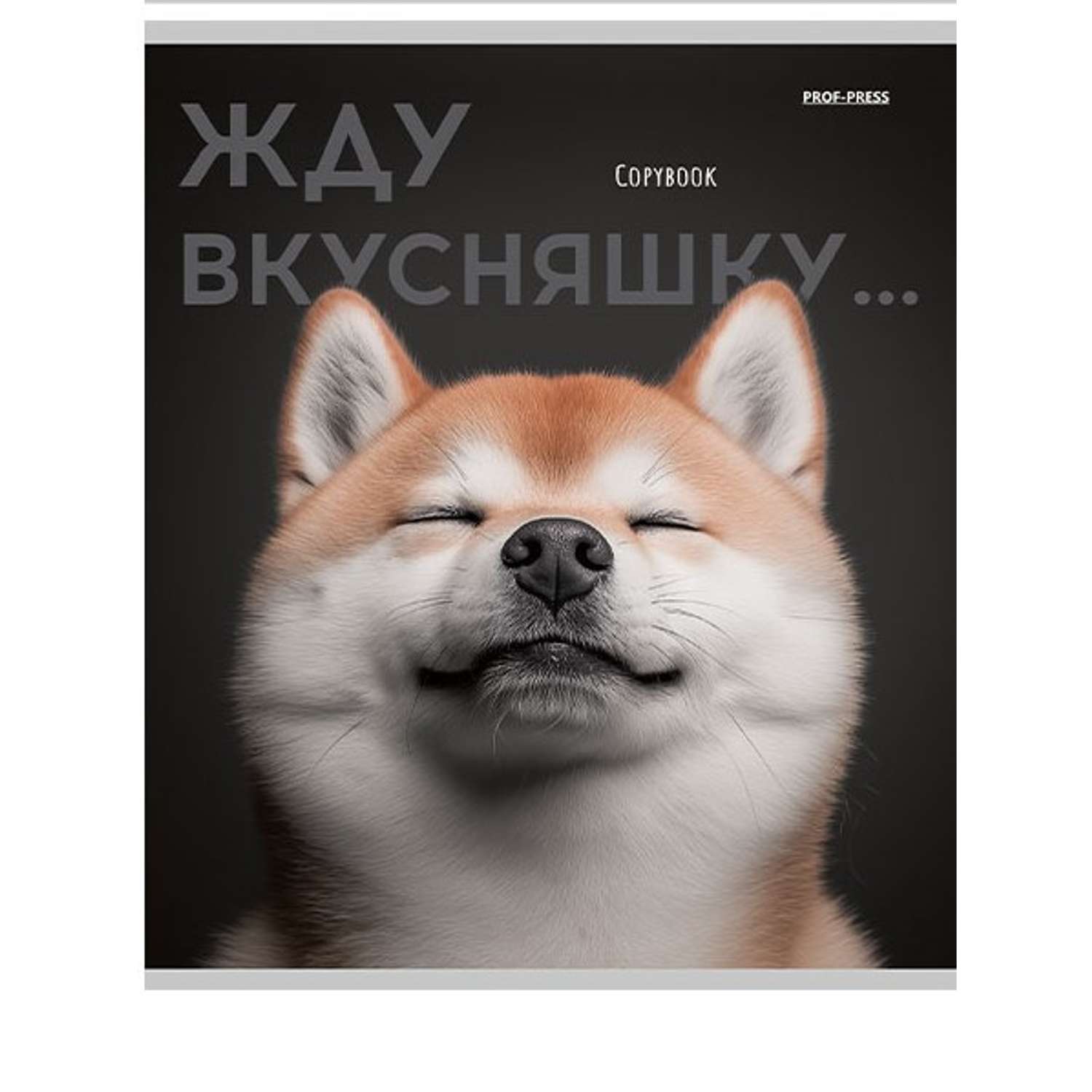 Общая тетрадь Profit клетка 48 лист. 1 шт. - фото 4