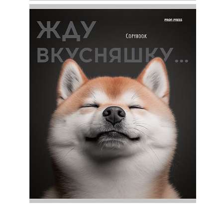 Общая тетрадь Profit клетка 48 лист. 1 шт.