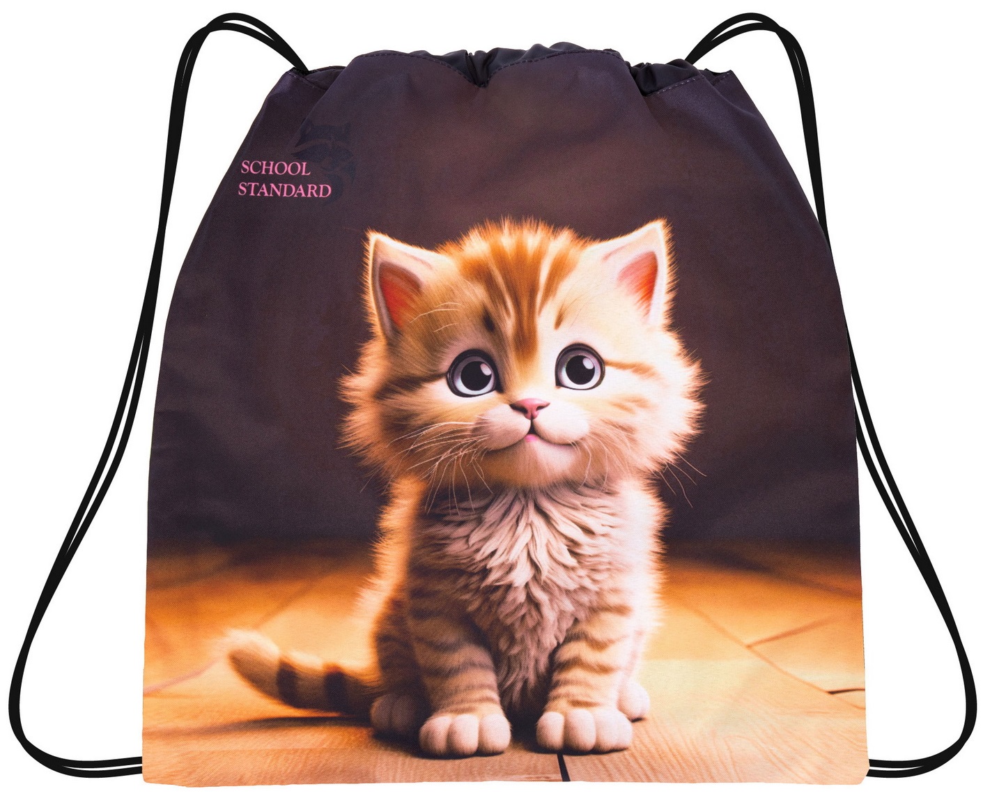 Изображение товара Мешок для обуви School Standard