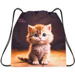 Мешок для обуви School Standard