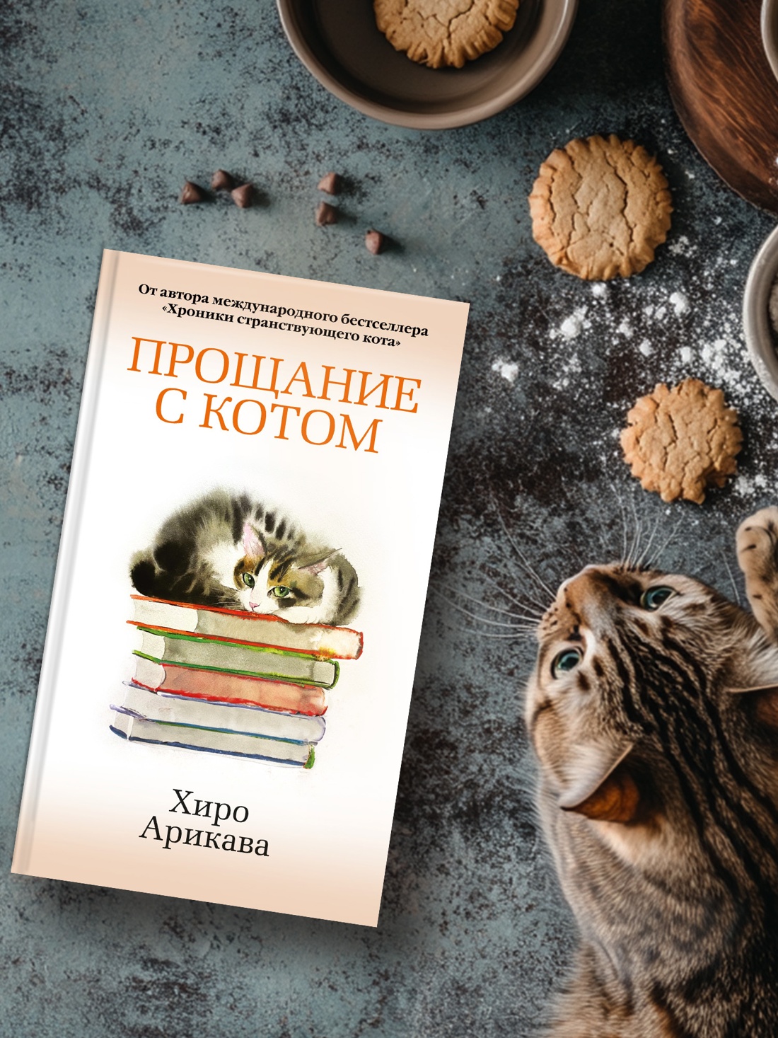 Книга АЗБУКА Азб.- бестселлер/Арикава Х./Прощание с котом - фото 6