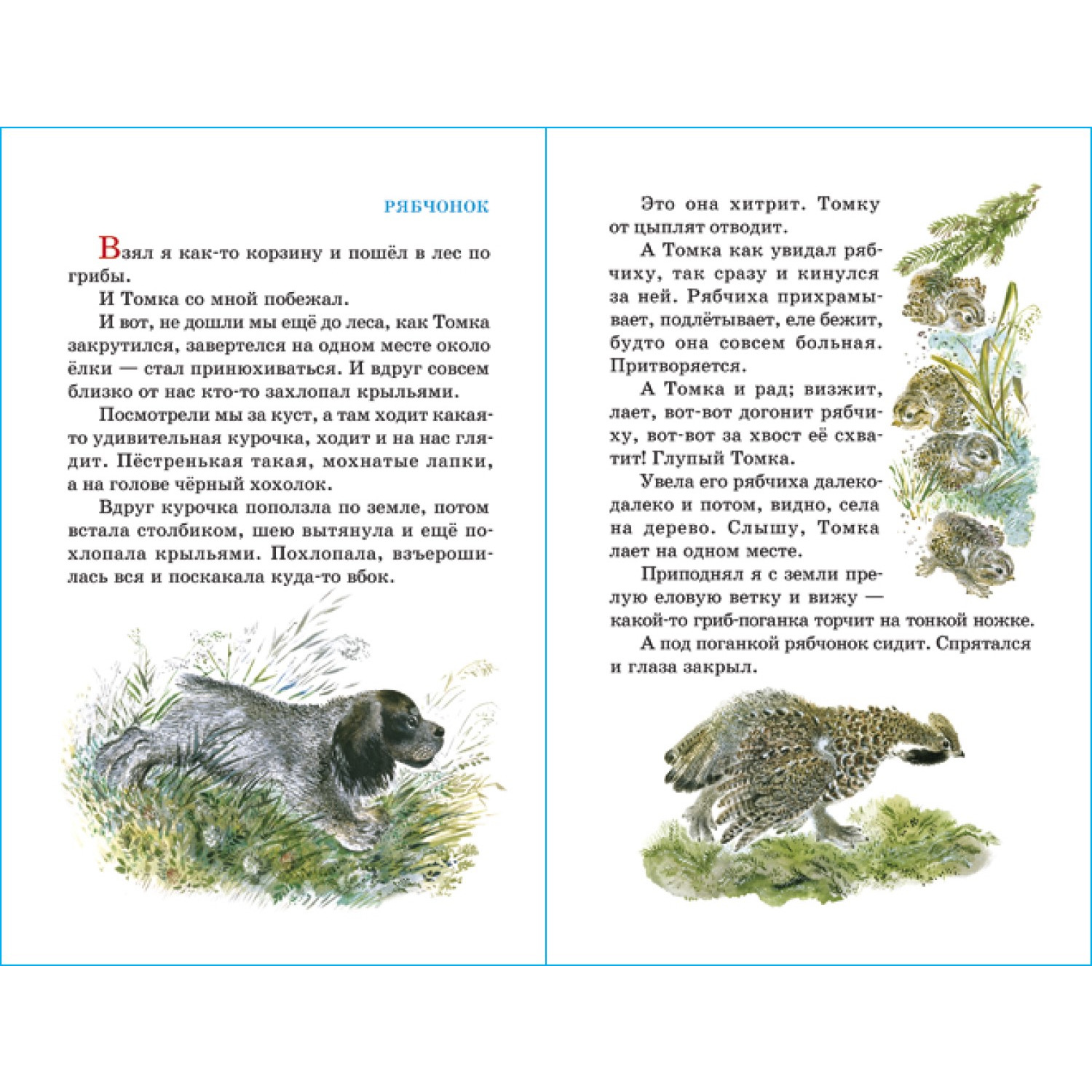 Книга Самовар Рассказы про зверей и птиц Е Чарушин - фото 3