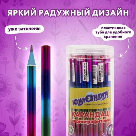 Карандаши чернографитные Юнландия 1 шт.