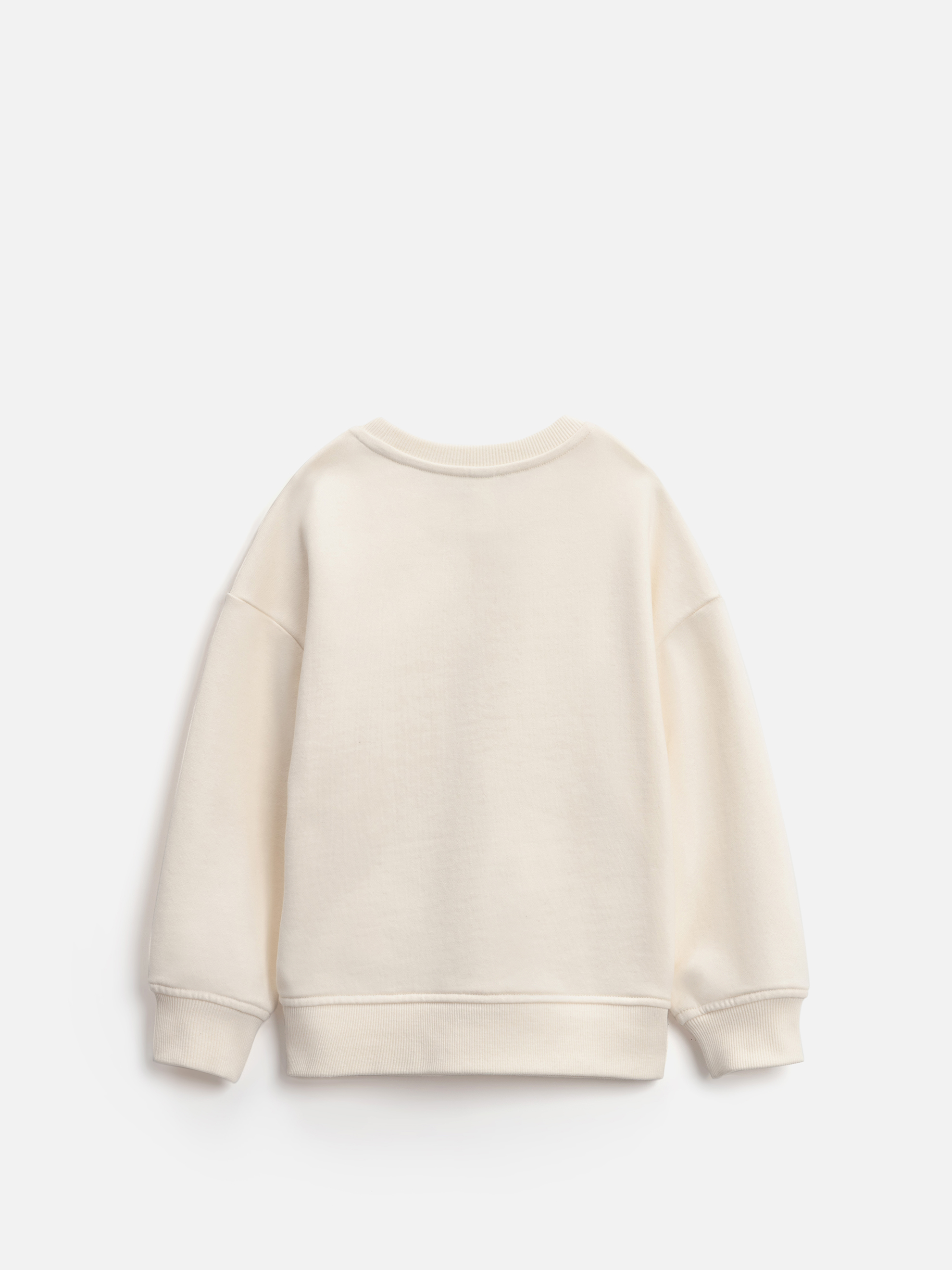 Свитшот Acoola 20220170174_0095463 - фото 4