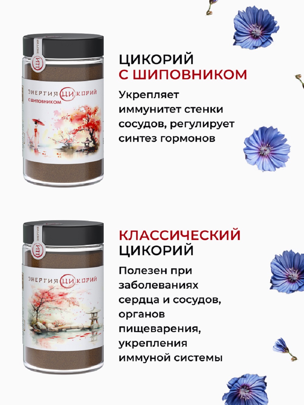 Цикорий Энергия Ци растворимый порошок с черникой - фото 7