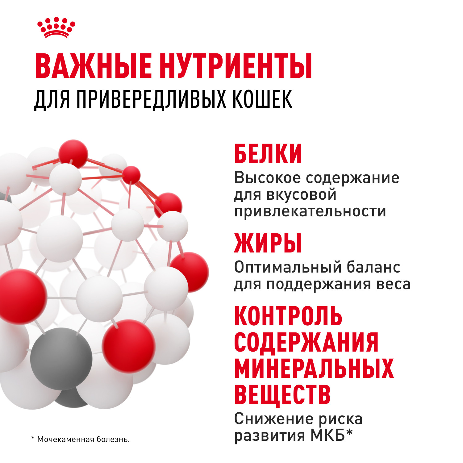 Корм сухой для кошек ROYAL CANIN Exigent Protein 2кг привередливых к составу продукта - фото 5