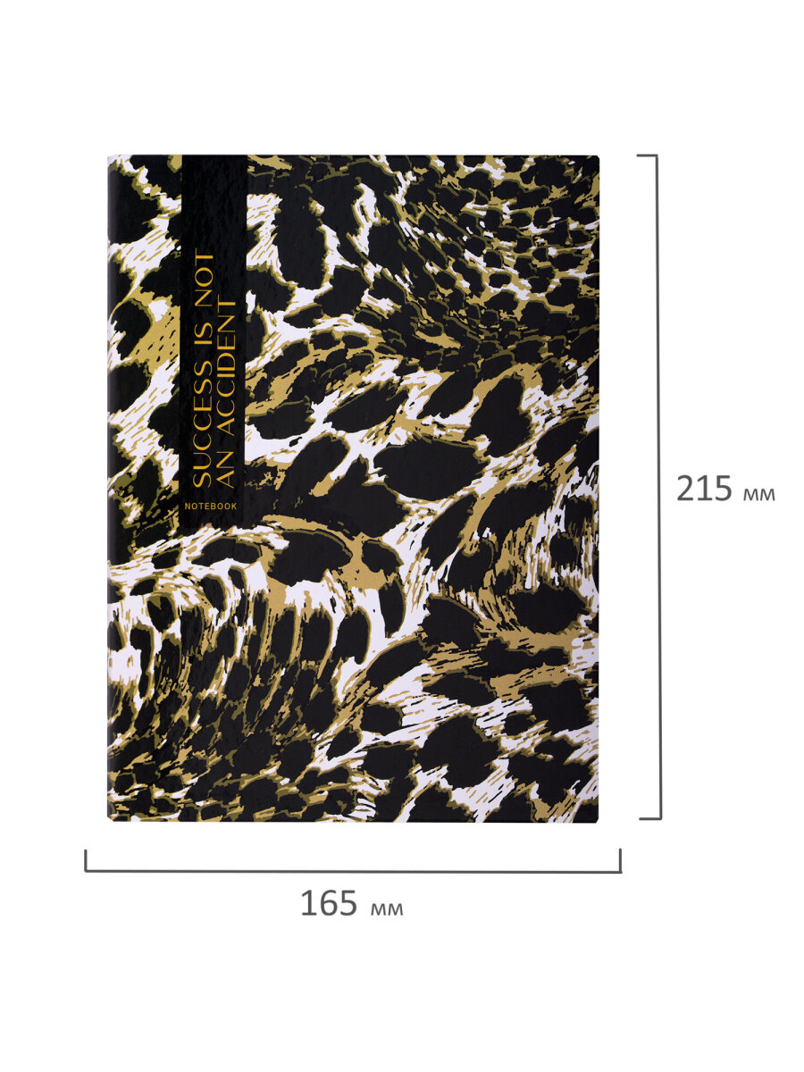 Тетрадь со сменным блоком Brauberg клетка 120 лист. - фото 5