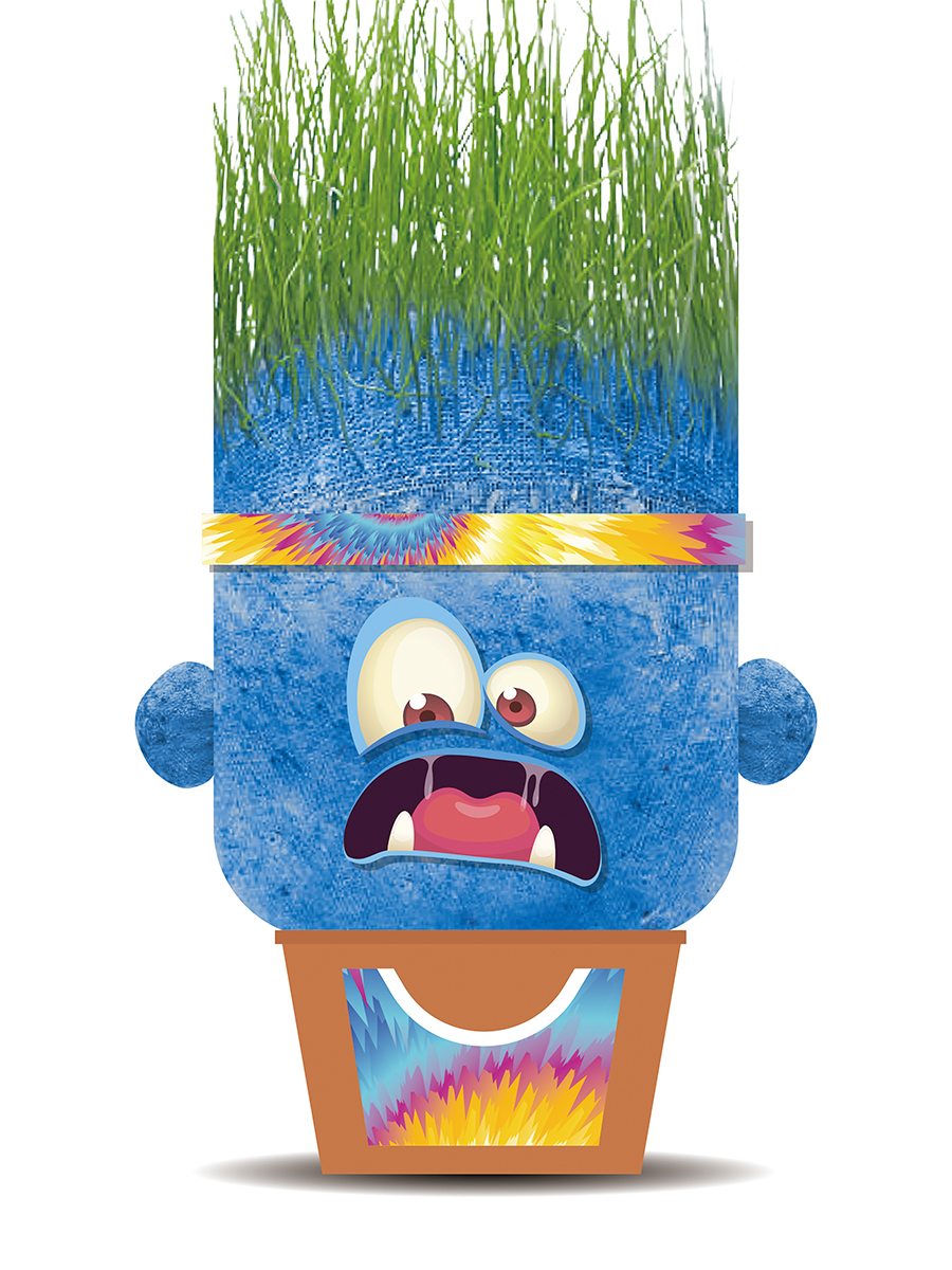 Набор для выращивания Hape - фото 4