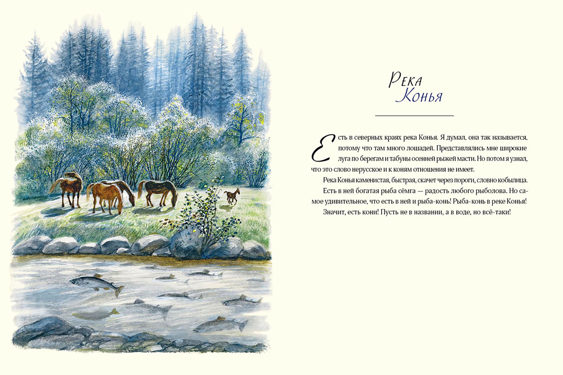 Книга Издательство Речь Коровья удочка - фото 6