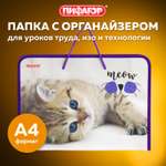 Папка для труда Пифагор А4