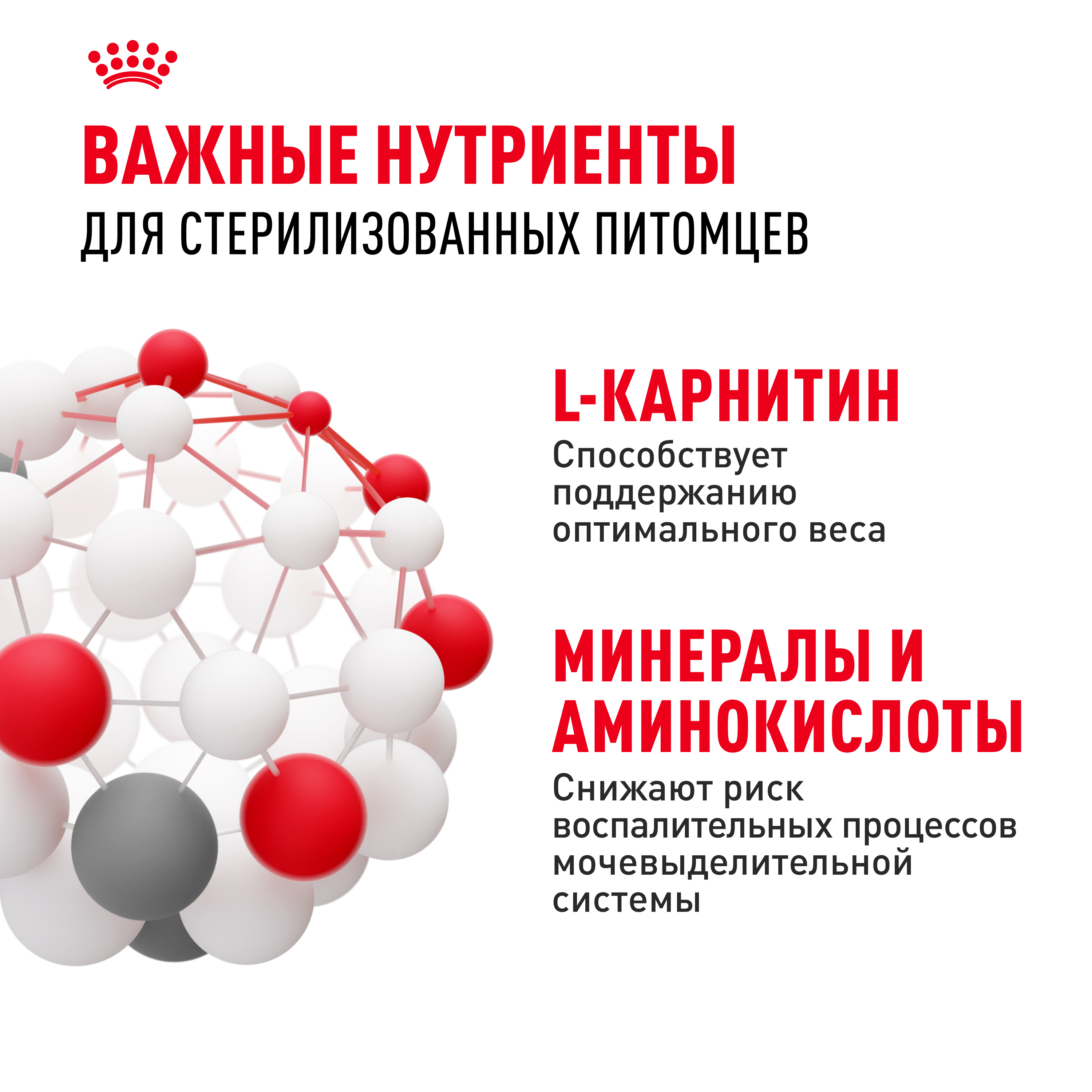 Корм сухой ROYAL CANIN Sterilised 37 2кг для стерилизованных кошек - фото 13