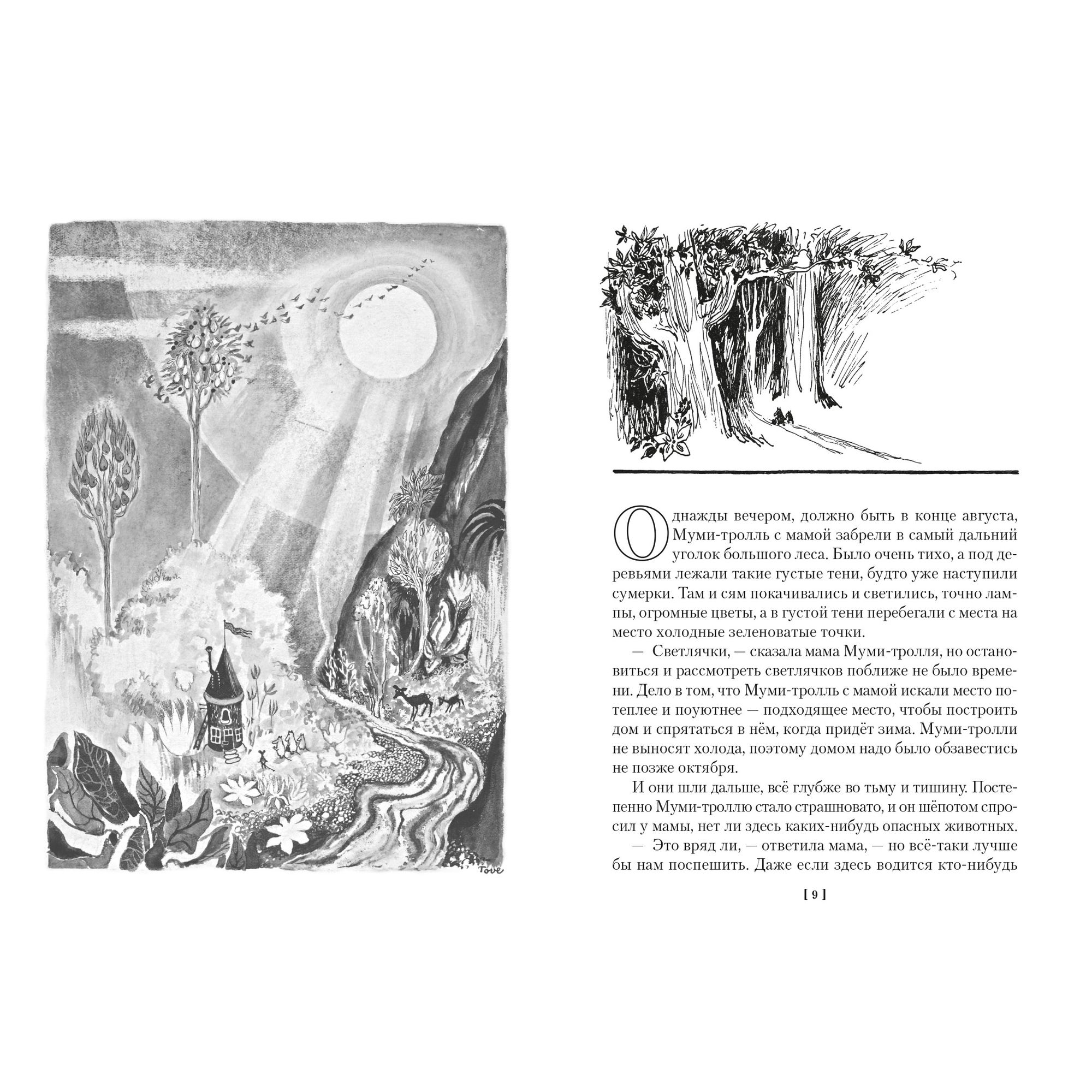 Книга Шляпа Волшебника Муми-тролли и все-все-все Книга 1 - фото 10