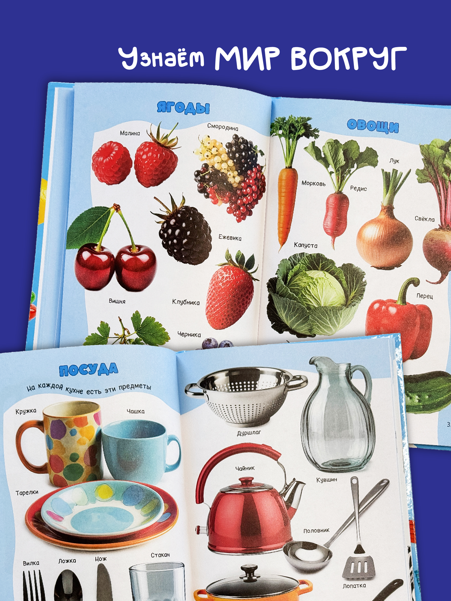 Первая книга малыша БимБиМон Мои первые слова Запуск речи - фото 4
