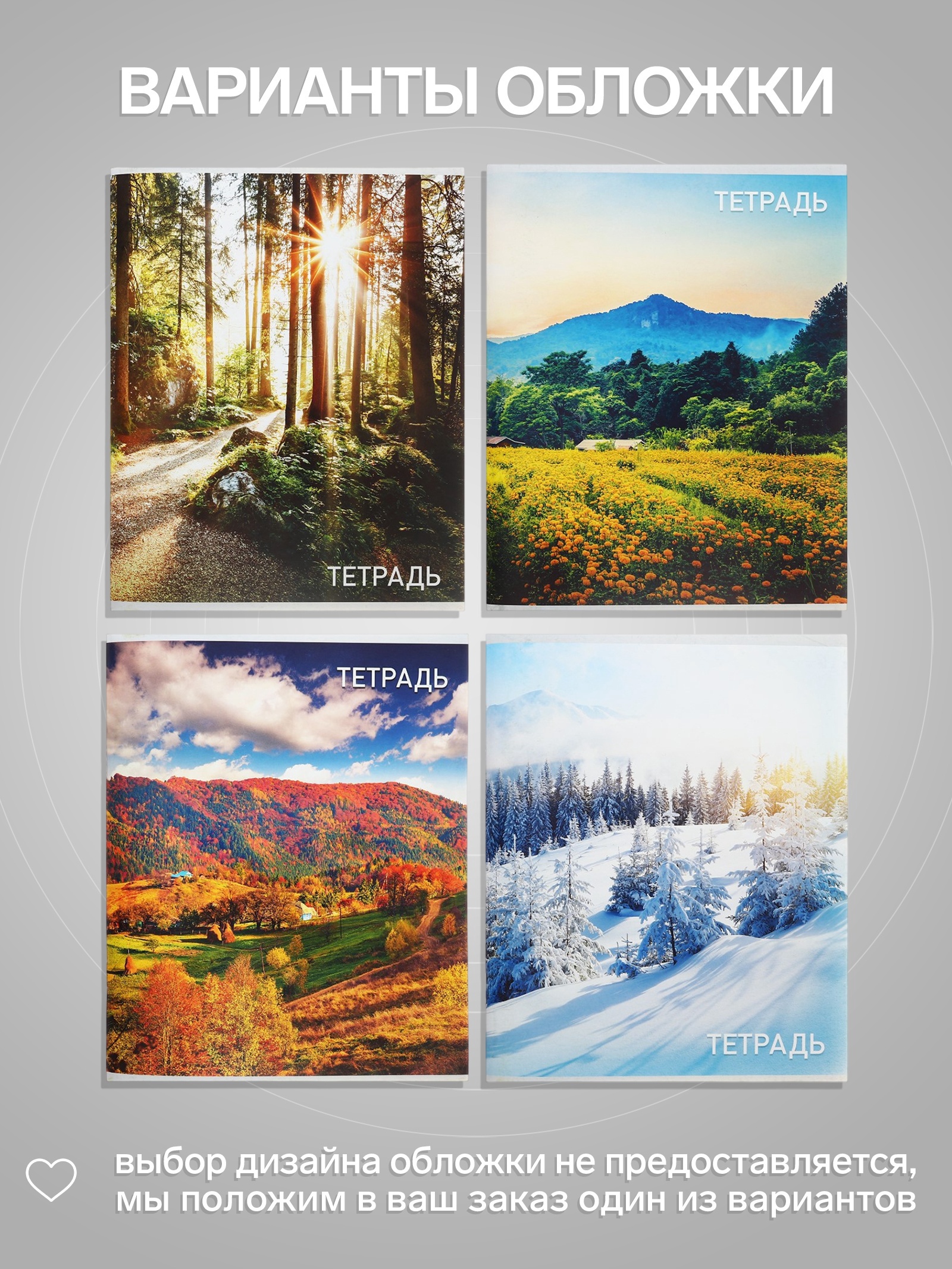 Тетрадь Calligrata клетка - фото 2